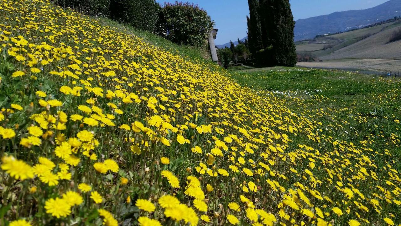 Villa Casale Di Valle Vinci Exterior foto